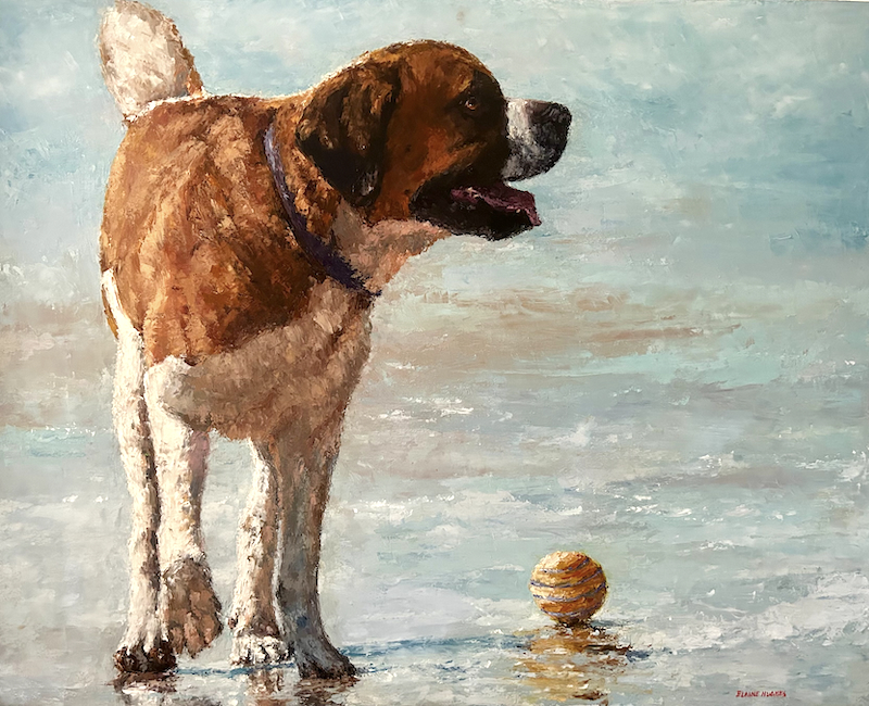 fetch