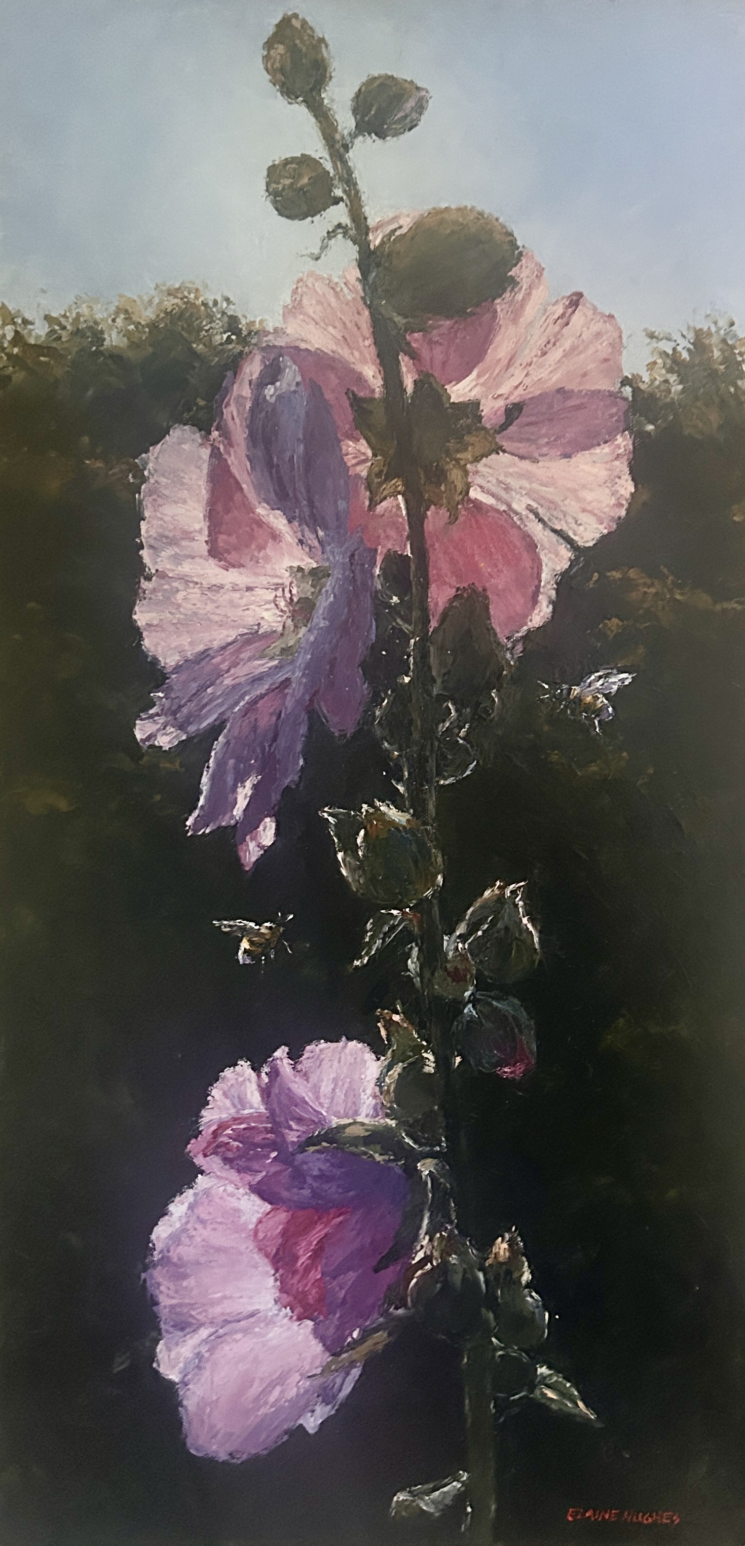 hollyhocks