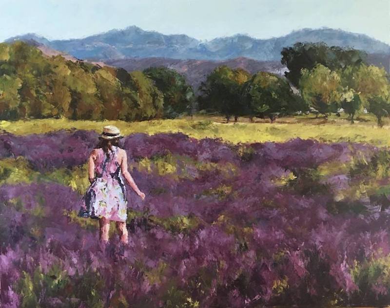 lavender field