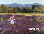 lavender field
