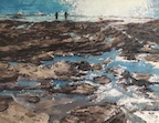 lowtidecrystalcove