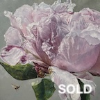 peony & bee