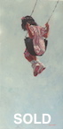 soar